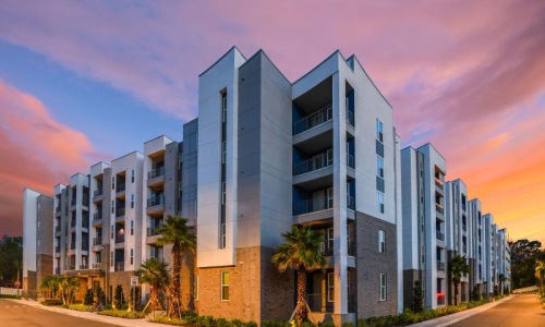 palm trees surround Union on Fletcher